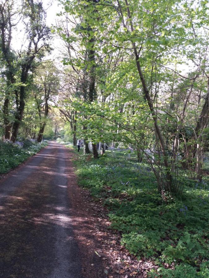 La Parenthese Bois De Cise Apartment Ault Bagian luar foto