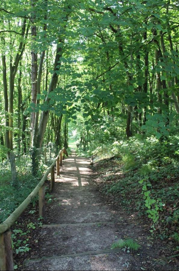 La Parenthese Bois De Cise Apartment Ault Bagian luar foto