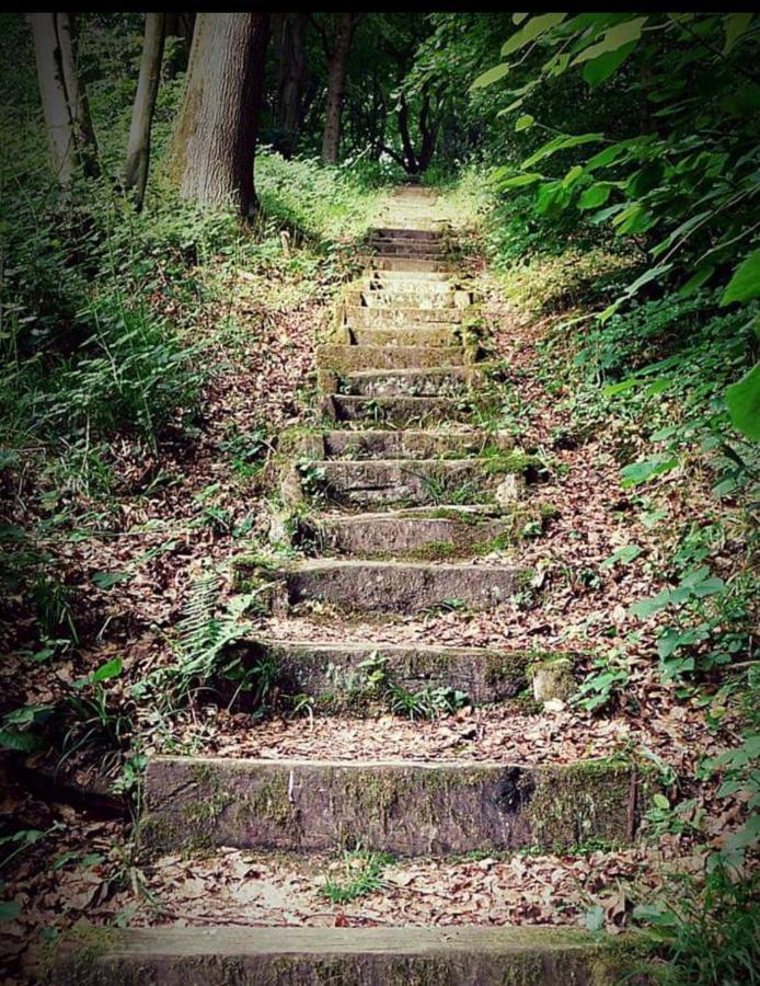 La Parenthese Bois De Cise Apartment Ault Bagian luar foto