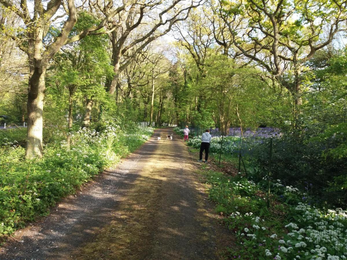 La Parenthese Bois De Cise Apartment Ault Bagian luar foto